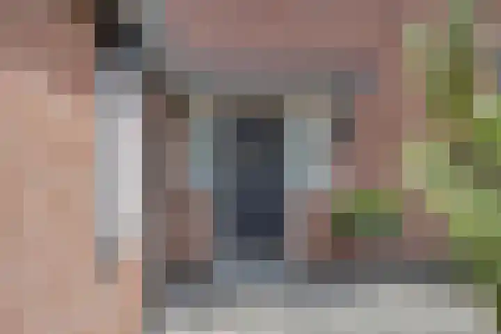 Steegjesdijk 1 Piershil thumbnail 4