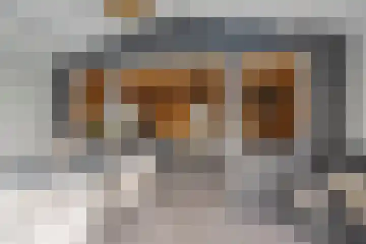 Steegjesdijk 1 Piershil thumbnail 42