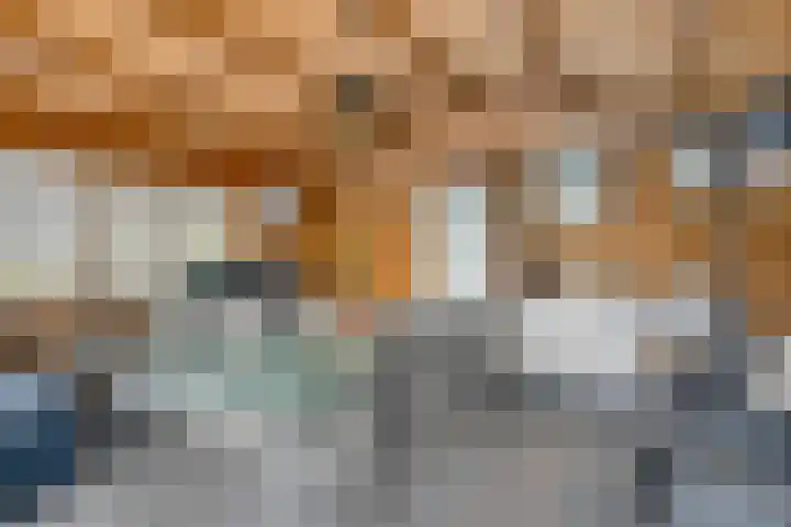 Steegjesdijk 1 Piershil thumbnail 43