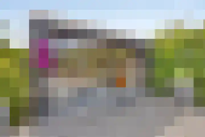 Steegjesdijk 1 Piershil thumbnail 44