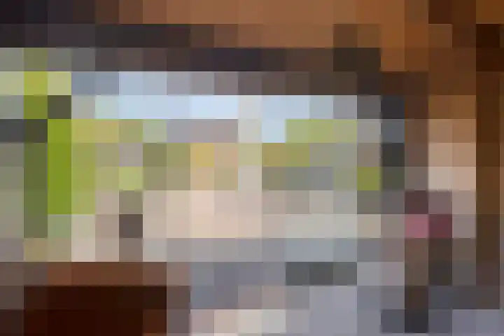 Steegjesdijk 1 Piershil thumbnail 46