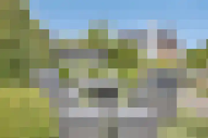 Steegjesdijk 1 Piershil thumbnail 47
