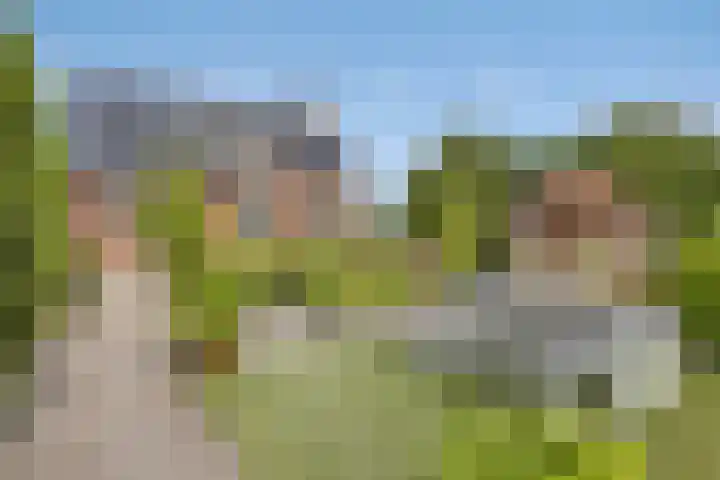 Steegjesdijk 1 Piershil thumbnail 48