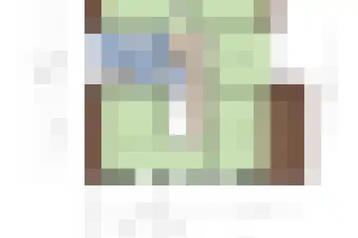 Steegjesdijk 1 Piershil thumbnail 51