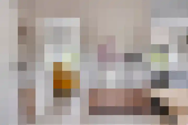 Steegjesdijk 1 Piershil thumbnail 9