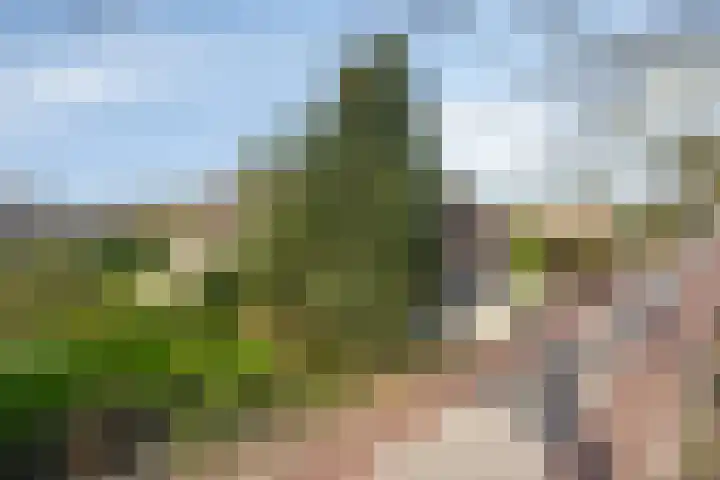 Steegschenhofscheweg 15 Velp thumbnail 12