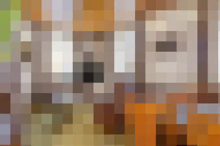 Steegschenhofscheweg 15 Velp thumbnail 15