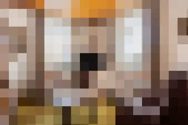 Steegschenhofscheweg 15 Velp thumbnail 16