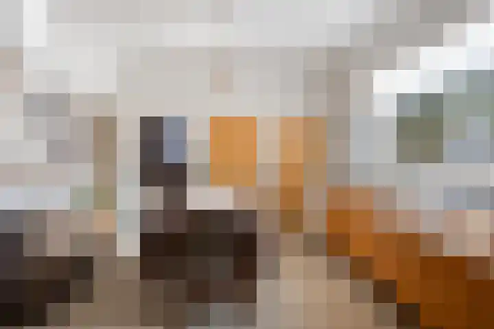 Steegschenhofscheweg 15 Velp thumbnail 21
