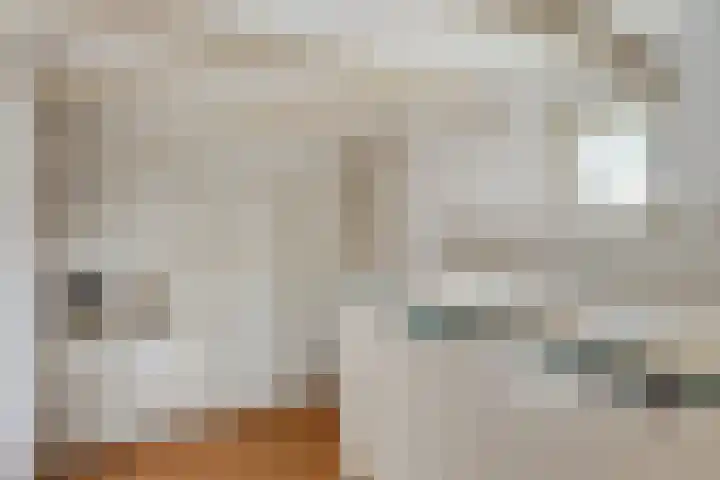Steegschenhofscheweg 15 Velp thumbnail 24