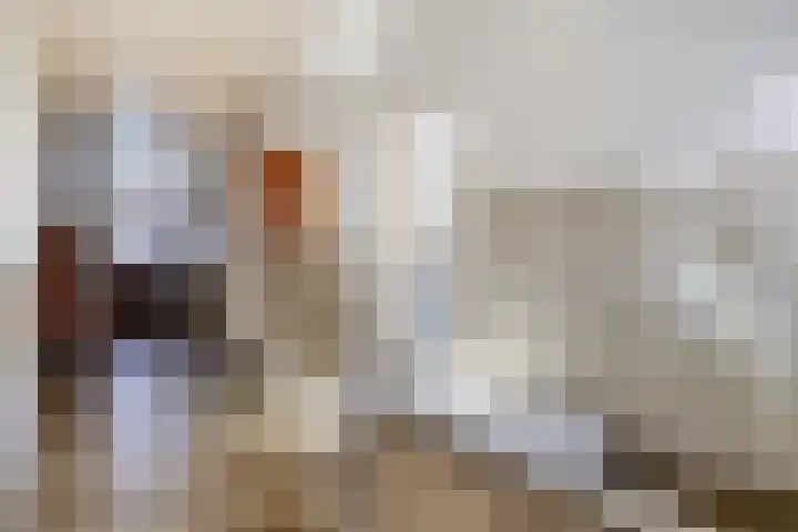 Steegschenhofscheweg 15 Velp thumbnail 26