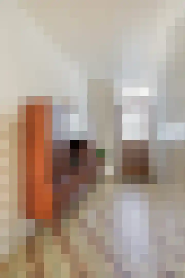 Steegschenhofscheweg 15 Velp thumbnail 27