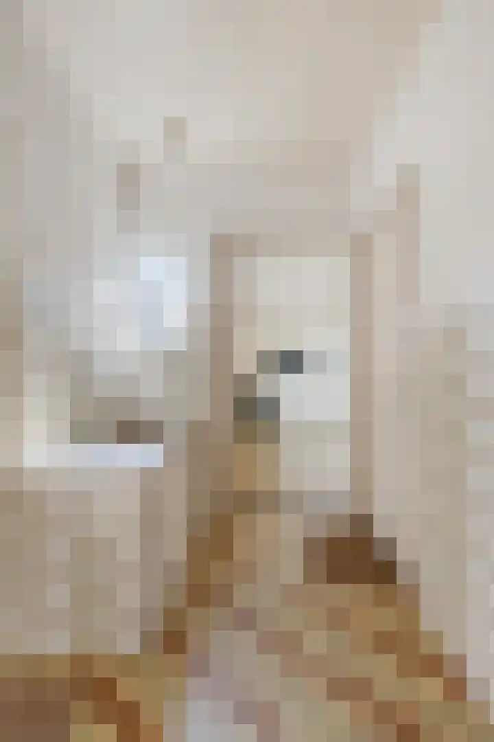 Steegschenhofscheweg 15 Velp thumbnail 28