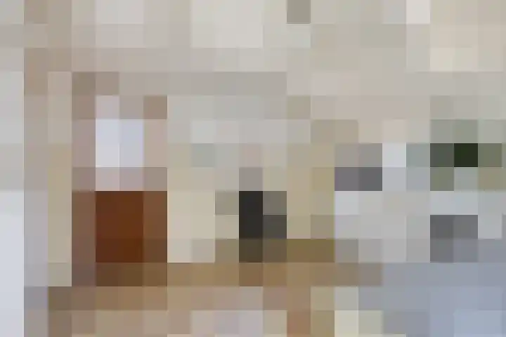 Steegschenhofscheweg 15 Velp thumbnail 30