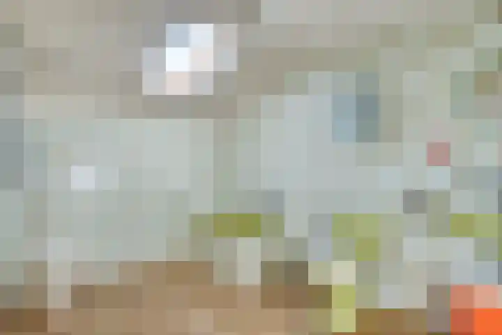 Steegschenhofscheweg 15 Velp thumbnail 31