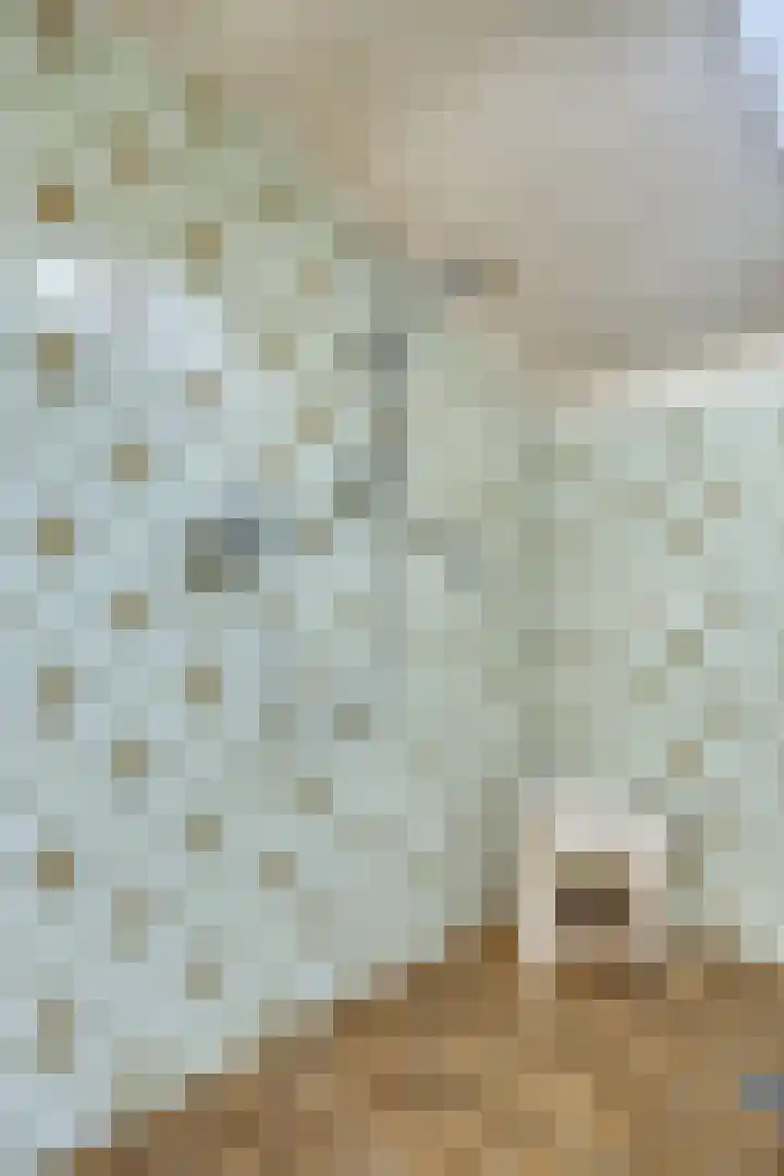 Steegschenhofscheweg 15 Velp thumbnail 32