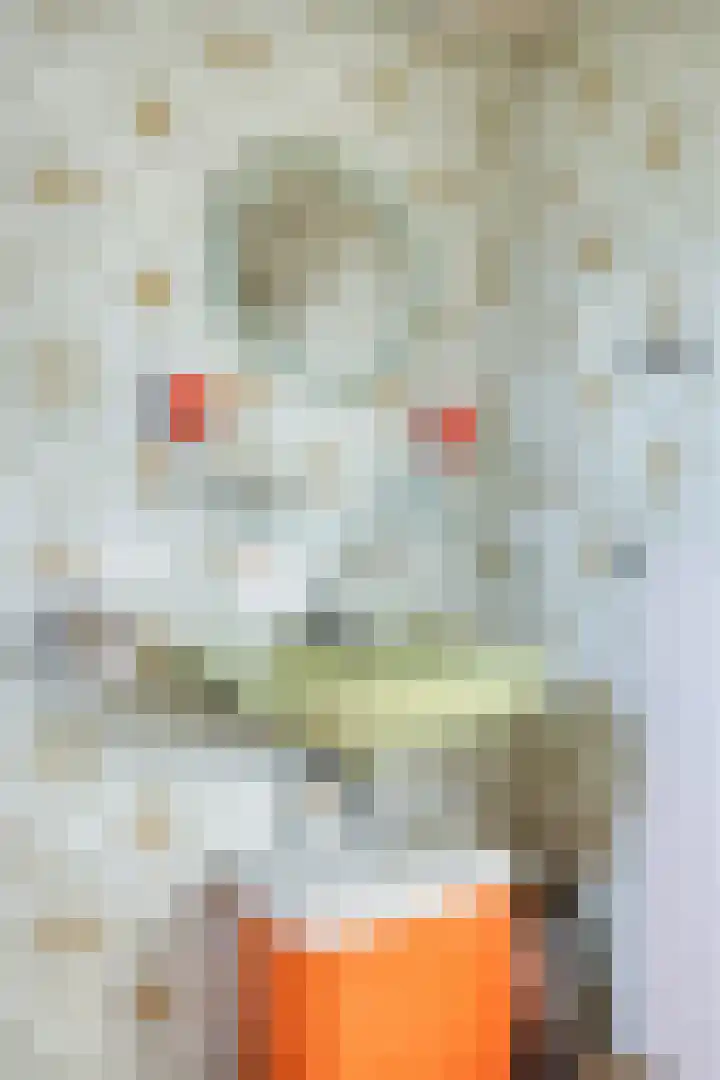 Steegschenhofscheweg 15 Velp thumbnail 33