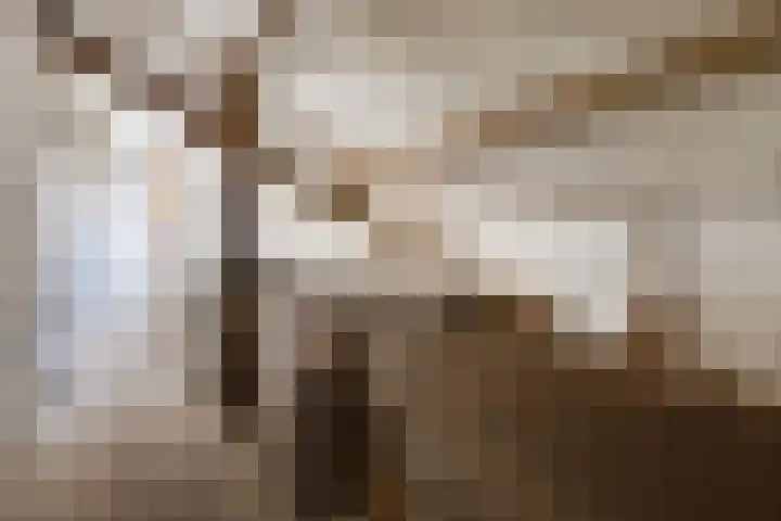 Steegschenhofscheweg 15 Velp thumbnail 47