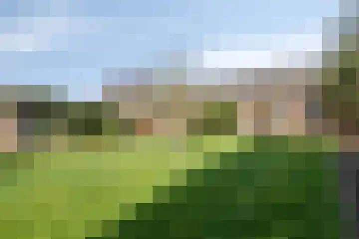 Steegschenhofscheweg 15 Velp thumbnail 48