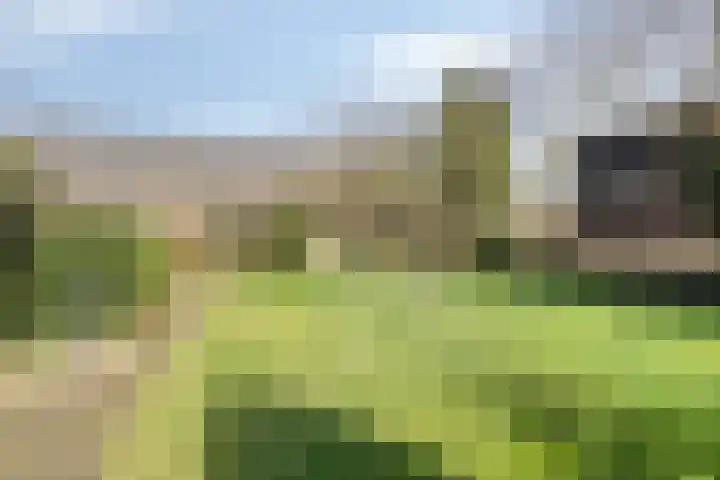 Steegschenhofscheweg 15 Velp thumbnail 49