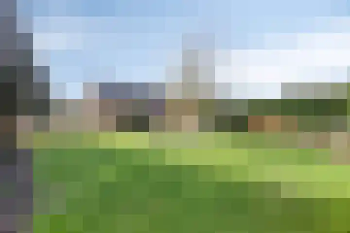 Steegschenhofscheweg 15 Velp thumbnail 50