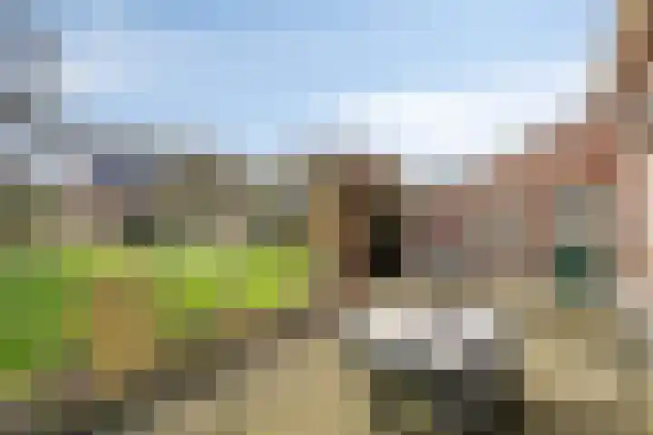 Steegschenhofscheweg 15 Velp thumbnail 51