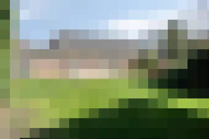 Steegschenhofscheweg 15 Velp thumbnail 54