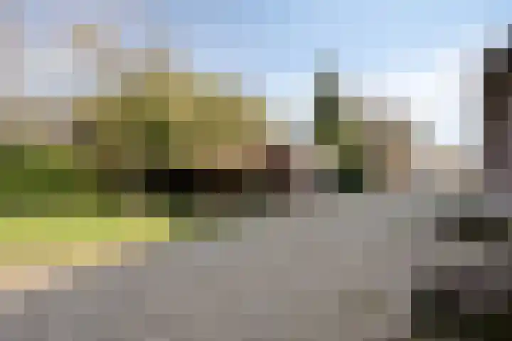 Steegschenhofscheweg 15 Velp thumbnail 58