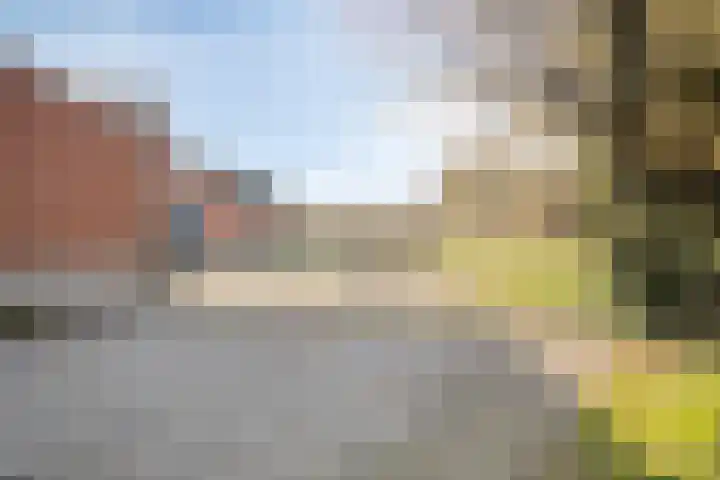 Steegschenhofscheweg 15 Velp thumbnail 59