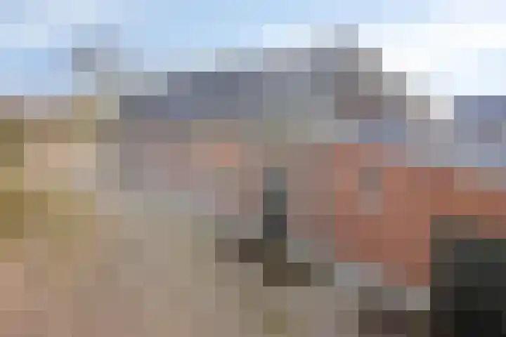 Steegschenhofscheweg 15 Velp thumbnail 61