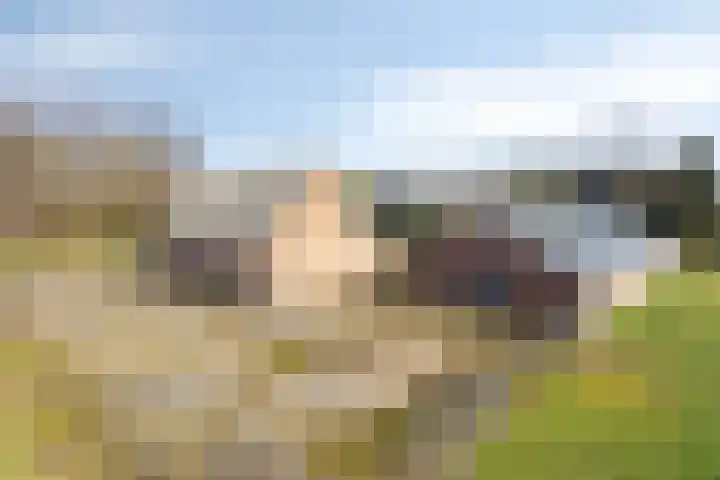 Steegschenhofscheweg 15 Velp thumbnail 63