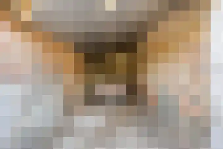 Steegschenhofscheweg 15 Velp thumbnail 68