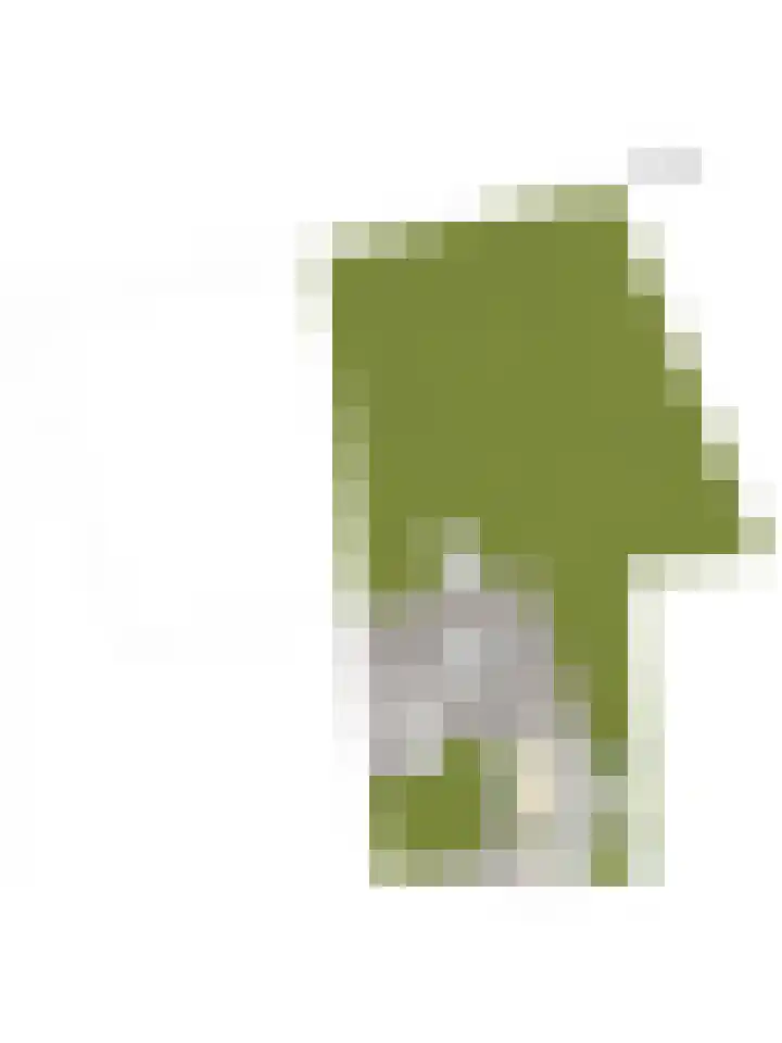 Steegschenhofscheweg 15 Velp thumbnail 69
