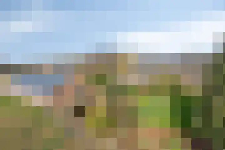 Steegschenhofscheweg 15 Velp thumbnail 7