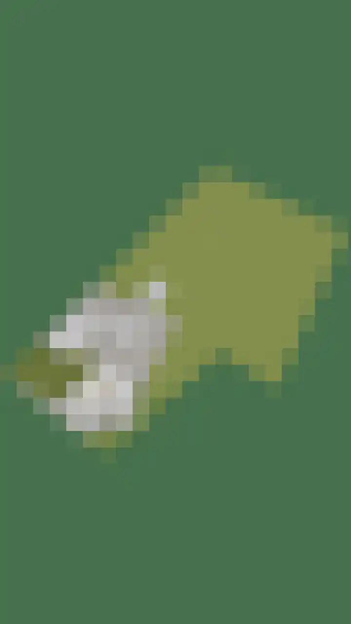 Steegschenhofscheweg 15 Velp thumbnail 70
