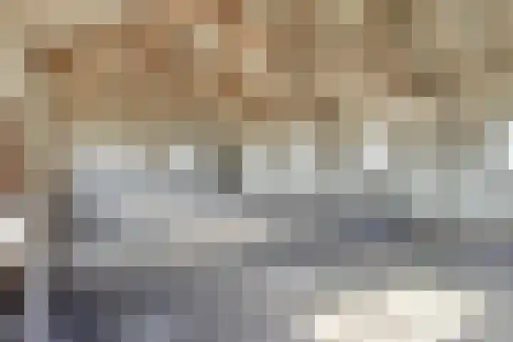 Steegschenhofscheweg 15 Velp thumbnail 9