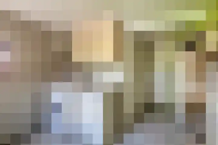 Steegse Peelweg 87 Veulen thumbnail 15