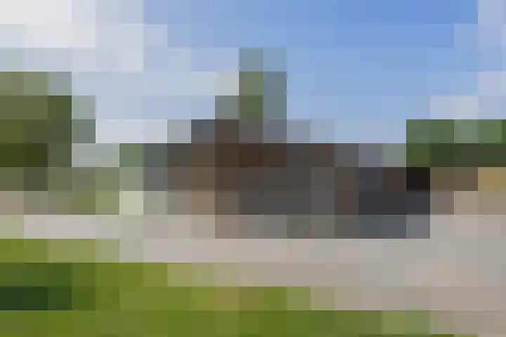 Steegse Peelweg 87 Veulen thumbnail 24