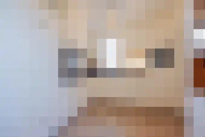 Steegstraat 1 k Melderslo thumbnail 17