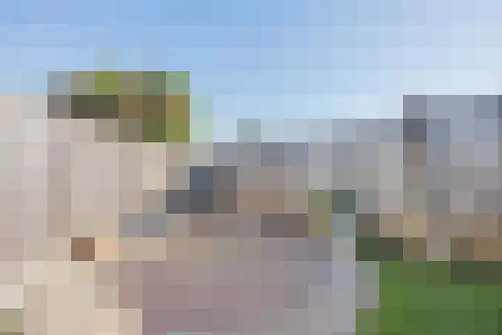 Steegstraat 1 k Melderslo thumbnail 39