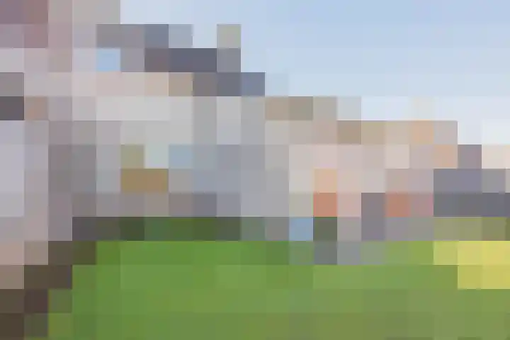 Steegstraat 1 k Melderslo thumbnail 42
