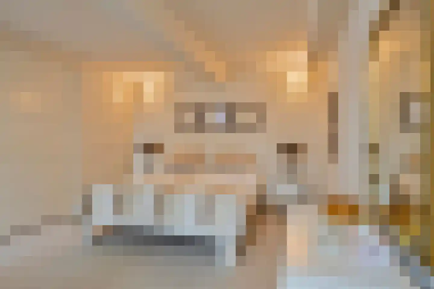Steegstraat 10 Roermond thumbnail 18