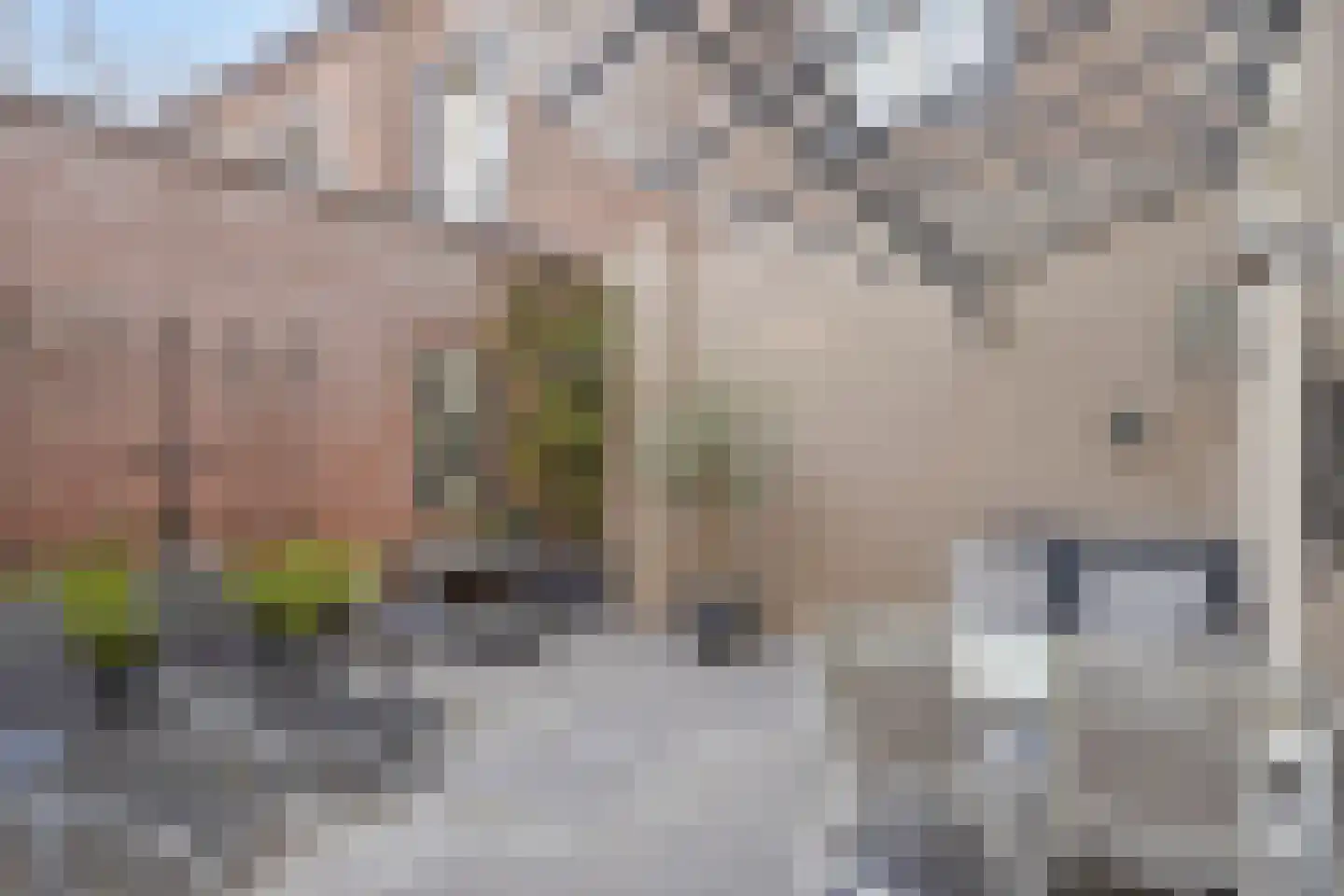 Steegstraat 10 Roermond thumbnail 29
