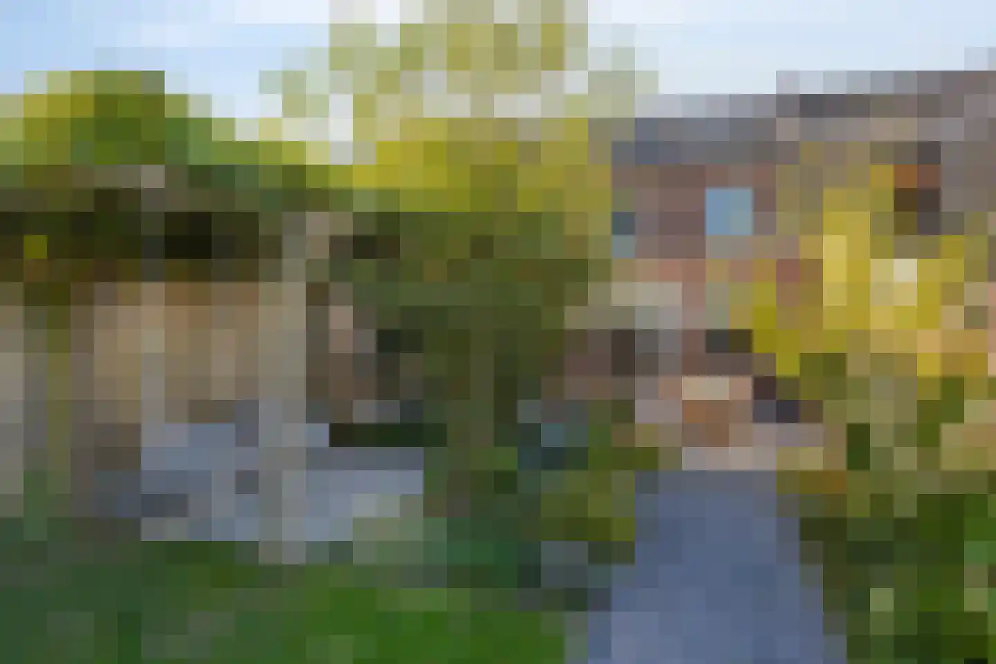 Steegstraat 11 Maastricht thumbnail 35