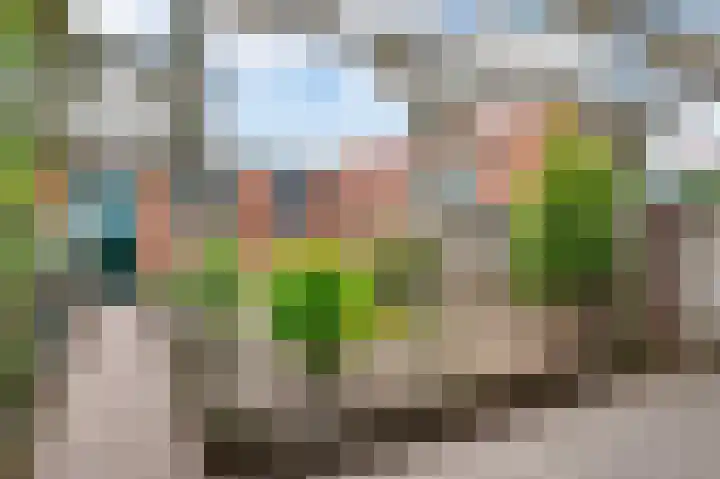 Steegstraat 14 Horn thumbnail 32