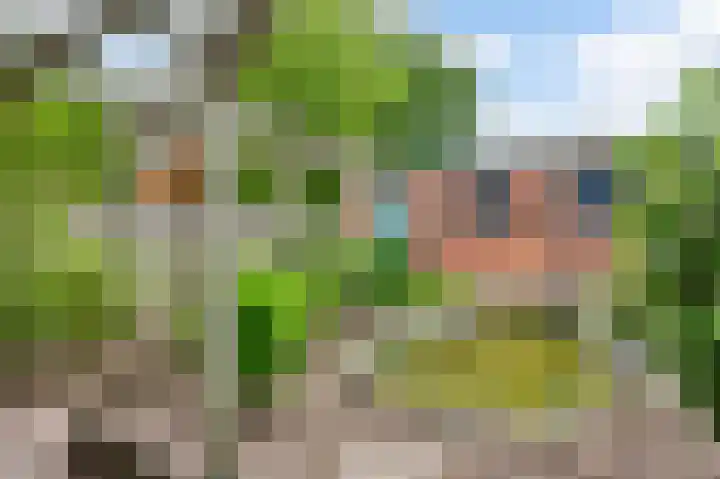 Steegstraat 14 Horn thumbnail 33