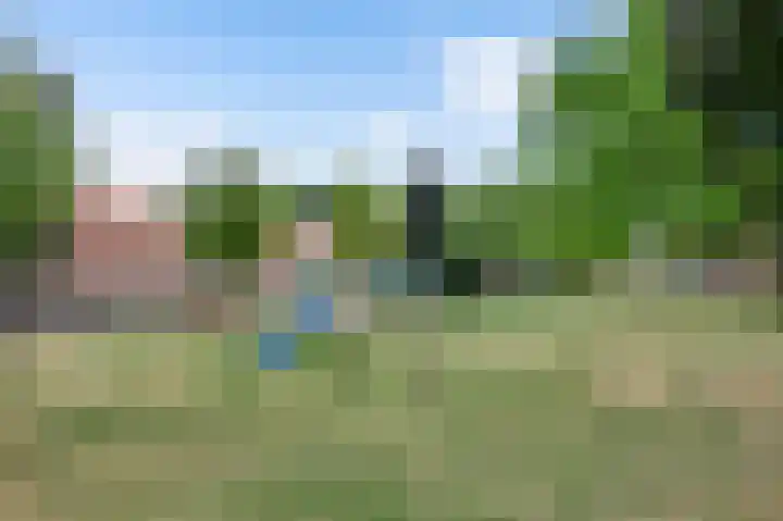 Steegstraat 14 Horn thumbnail 42