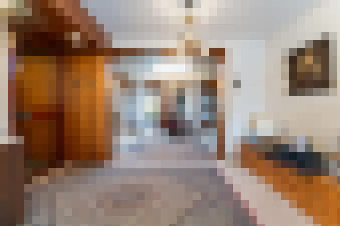 Steegstraat 32 Munstergeleen thumbnail 8