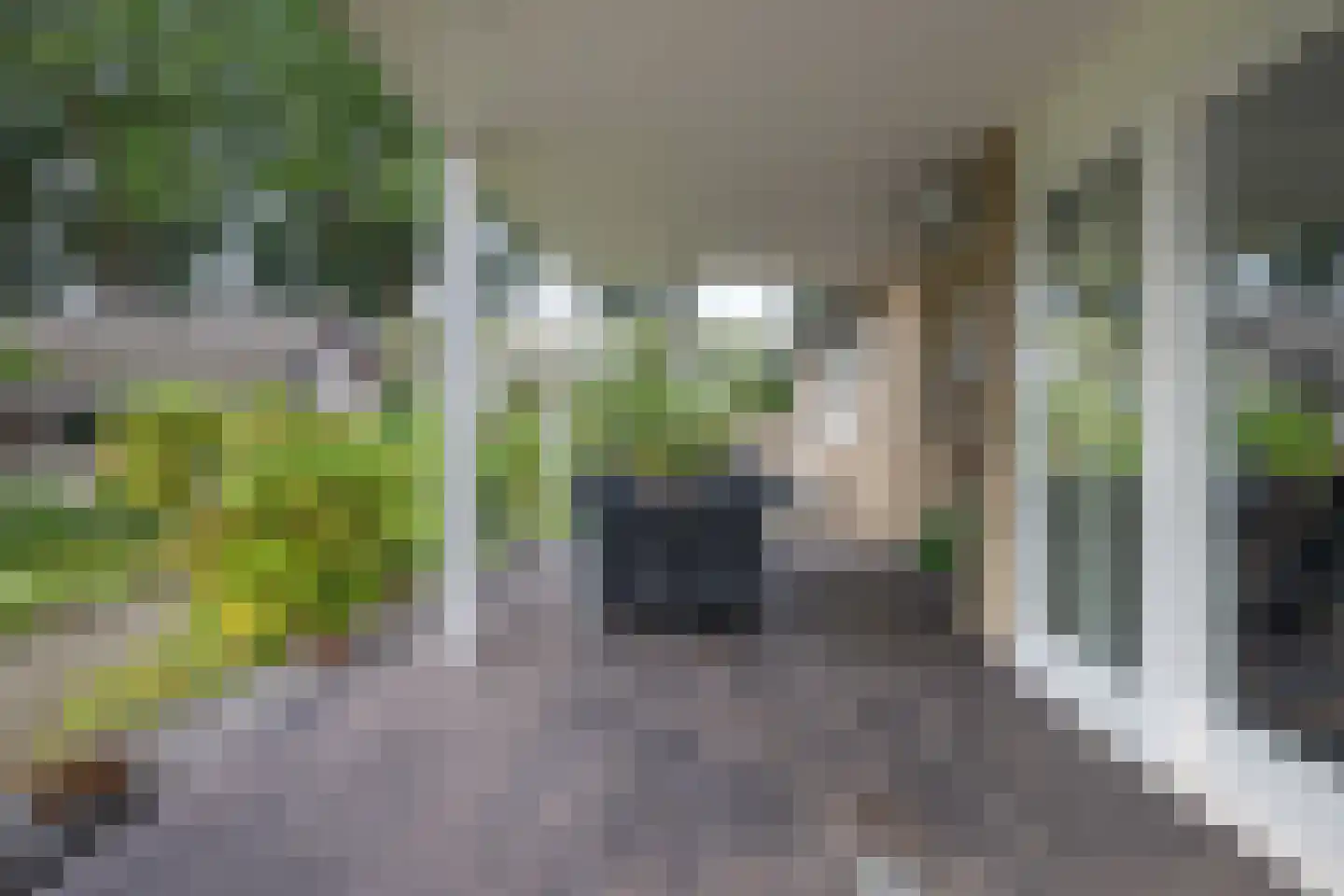 Steegstraat 34 Meijel thumbnail 33