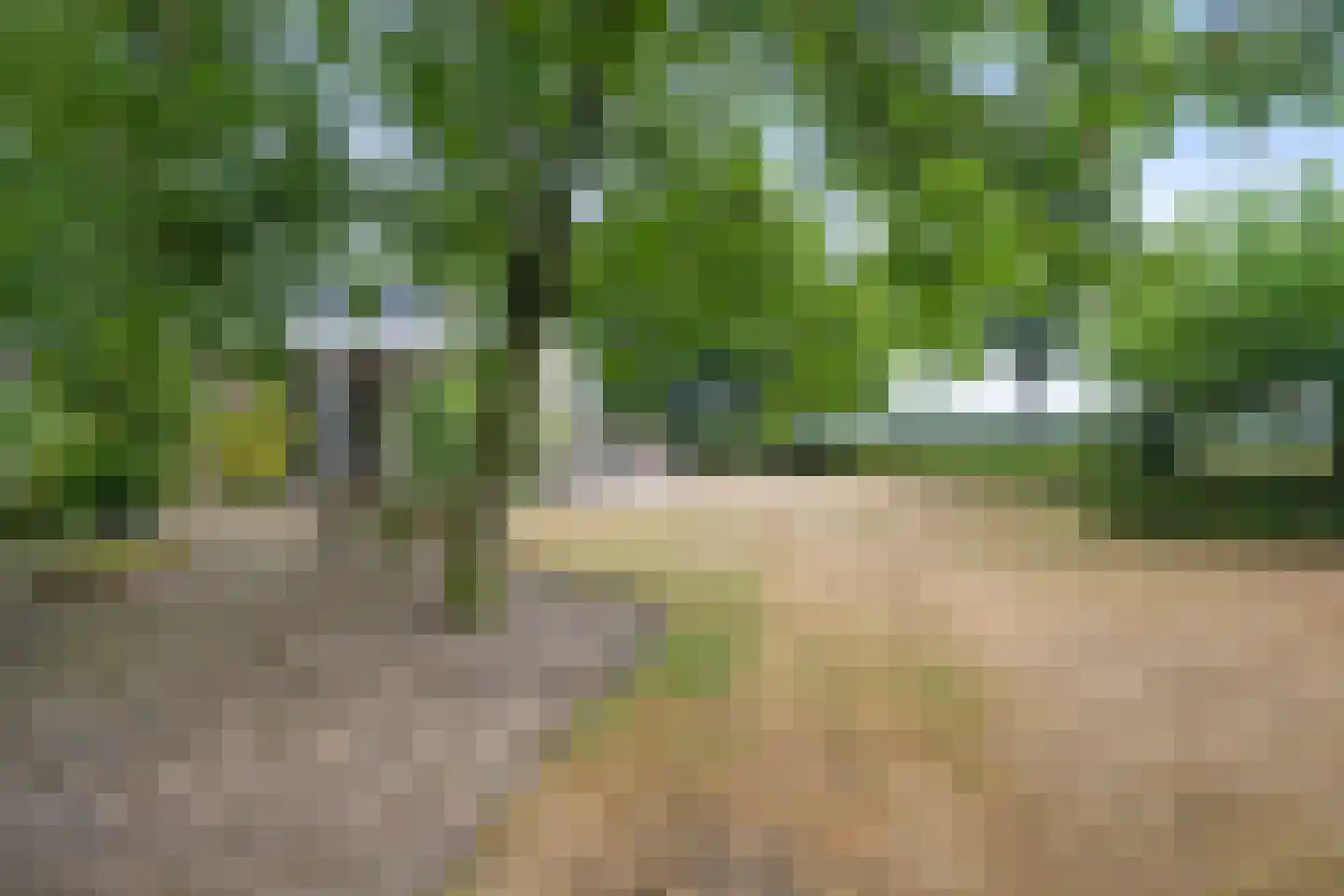 Steegstraat 34 Meijel thumbnail 42